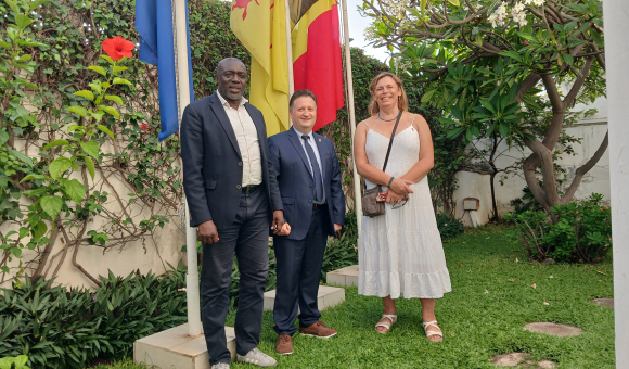 fédérations karaté